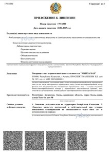 Приложение к лицензии Приложение к лицензии