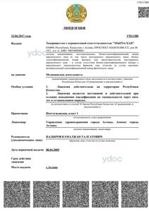 Лицензия Лицензия