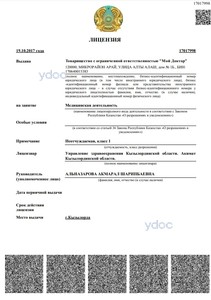 Лицензия Лицензия