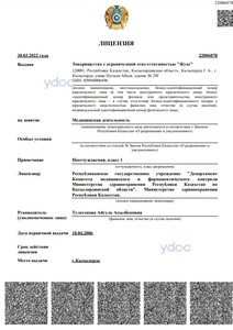 Лицензия Лицензия