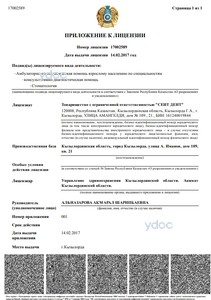 Приложение к лицензии