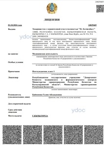 Лицензия Лицензия