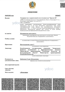 Лицензия Лицензия