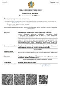 Приложение к лицензии