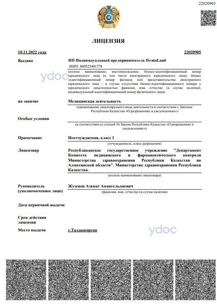 Лицензия Лицензия