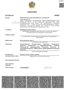 Лицензия Лицензия