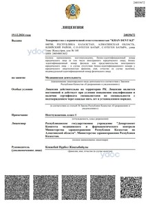 Лицензия Лицензия