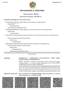 Приложение к лицензии Приложение к лицензии