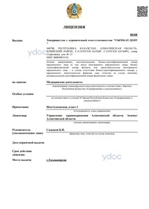 Лицензия Лицензия