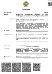 Лицензия Лицензия