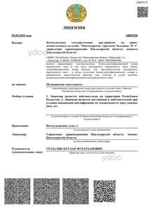 Лицензия Лицензия