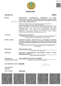 Лицензия Лицензия