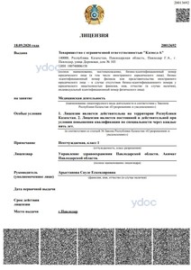 Лицензия Лицензия