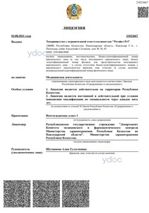 Лицензия Лицензия