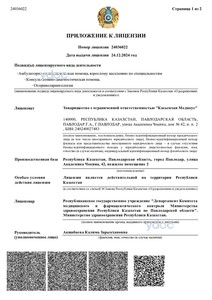 Лицензияға қосымша