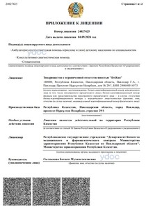 Лицензия