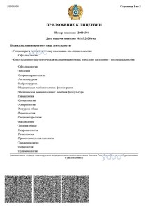 Лицензия Лицензия