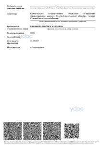 Лицензия Лицензия