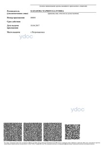 Лицензия Лицензия