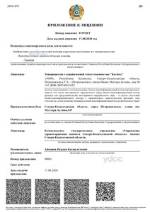 Лицензия Лицензия