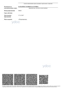 Лицензия Лицензия