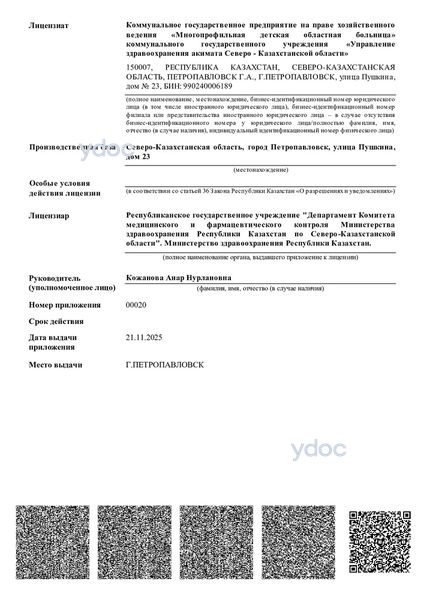 Лицензия Лицензия