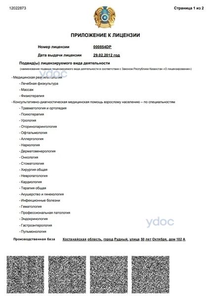 Лицензия Лицензия