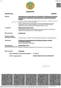 Лицензия Лицензия