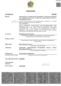 Лицензия Лицензия