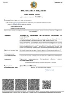 Приложение к лицензии Приложение к лицензии