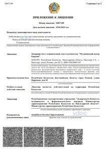 Приложение к лицензии Приложение к лицензии