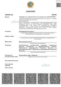 Лицензия Лицензия