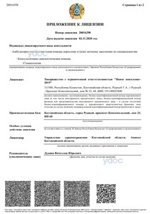 Приложение к лицензии Приложение к лицензии