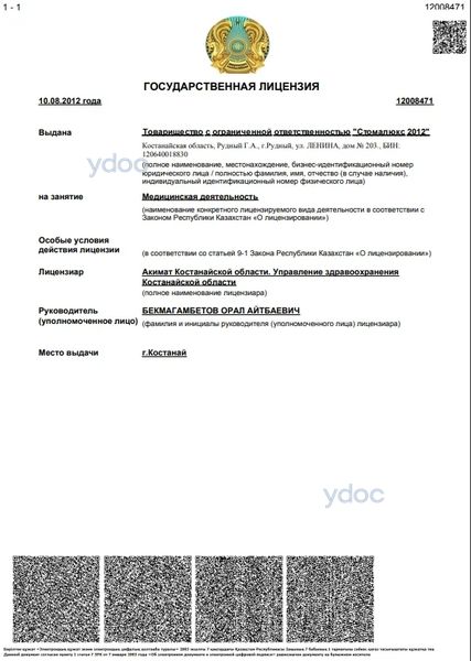 Лицензия Лицензия