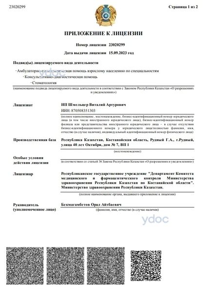 Лицензия Лицензия