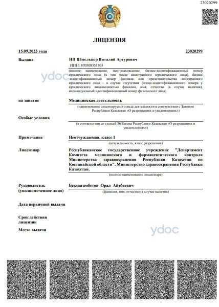 Лицензия Лицензия