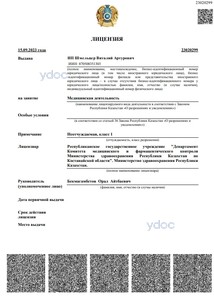 Лицензия Лицензия