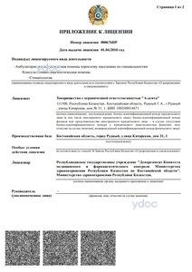 Приложение к лицензии Приложение к лицензии