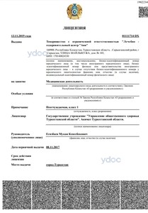 Лицензия Лицензия