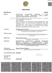 Лицензия Лицензия