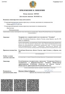 Лицензия Лицензия