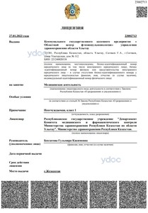 Лицензия Лицензия