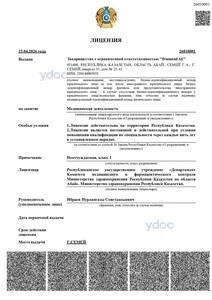Лицензия Лицензия