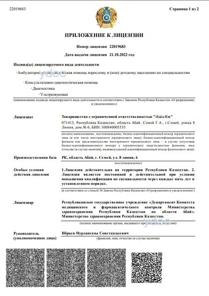 Лицензия Лицензия