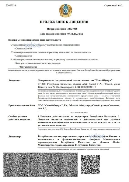 Лицензия Лицензия