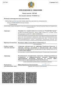 Лицензия Лицензия