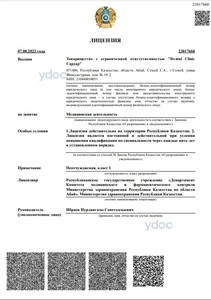 Лицензия Лицензия