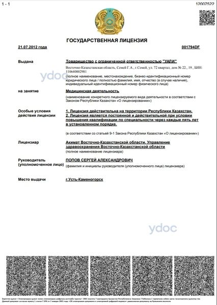 Лицензия Лицензия