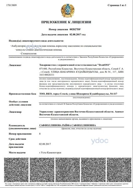 Лицензия Лицензия