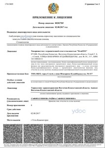 Лицензия Лицензия